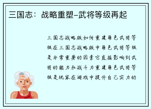 三国志：战略重塑-武将等级再起